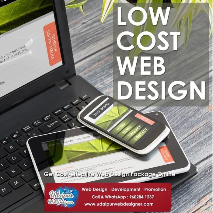 Cost website design much does